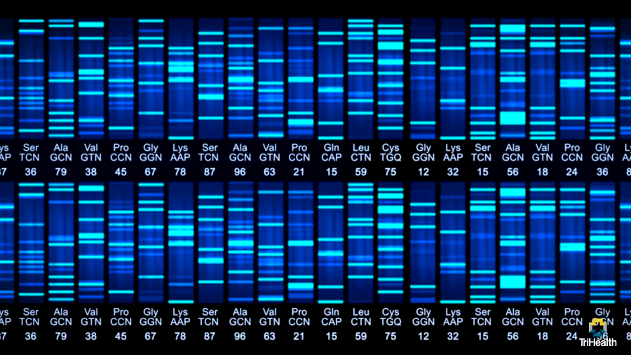 What is Genetic Testing