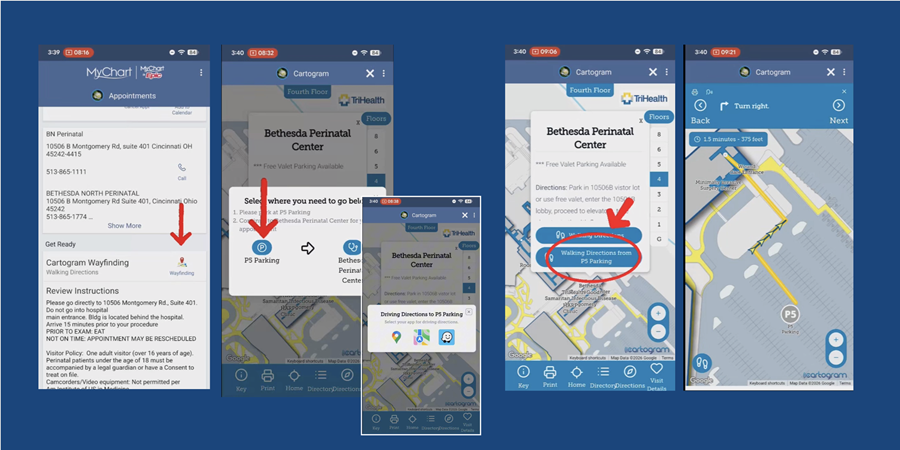 cartogram application snapshots