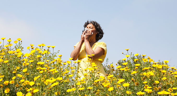 Breath of Fresh Air: Preparing for Allergens that Bring on Asthma Attacks