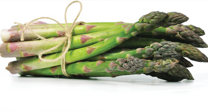Almighty Asparagus