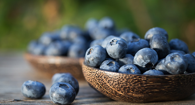 The Almighty Blueberry