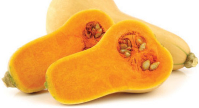 Squash for Every Season