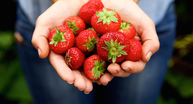 Strawberry Fields Forever