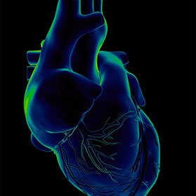 Principal of 715 Students Back to Work Less than Two Weeks Post Surgery