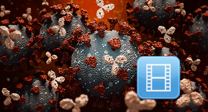 Monoclonal Antibody Therapy