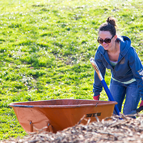 Earth Day: Healthy Planet Tips