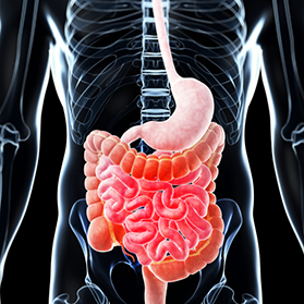 What is Single-Site Gallbladder Removal?