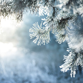 The Common Snow Injury You Haven’t Thought About