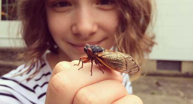 Worried About the Buzz? Dealing With Cicada Anxiety
