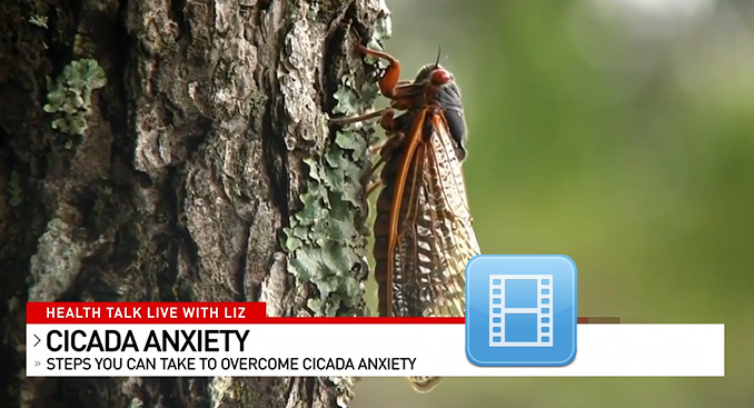 Health Talk Live: Tips for Dealing with Cicada Anxiety