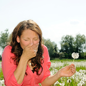 Can Acupuncture Relieve My Allergy Symptoms?